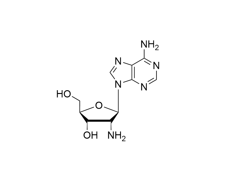 2'-NH2-2'-dA