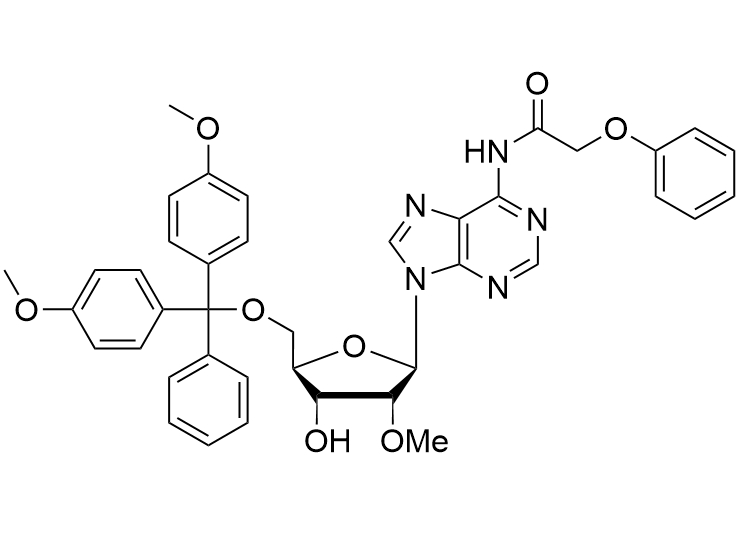 5'-O-DMT-2'-OMe-N6-Pac-rA