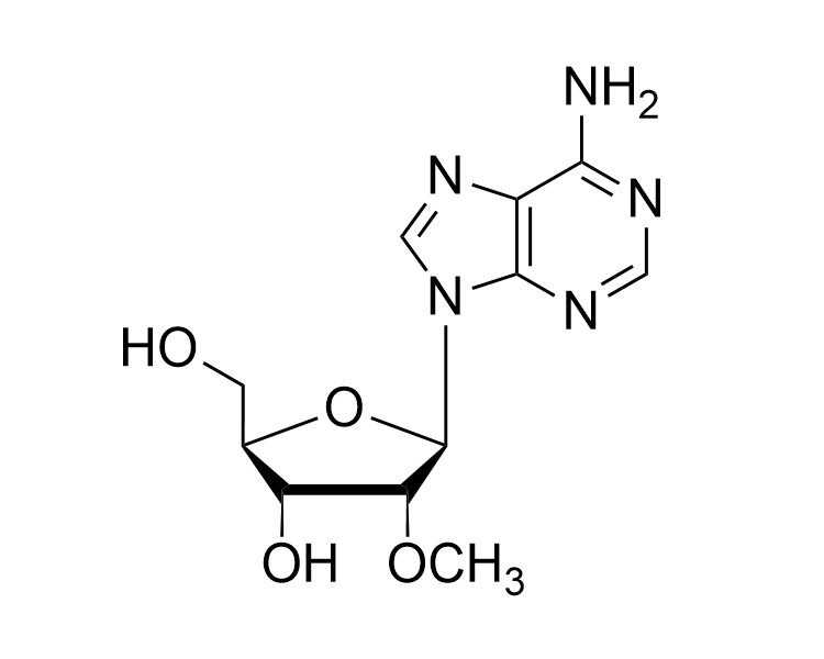 2'-OMe-rA