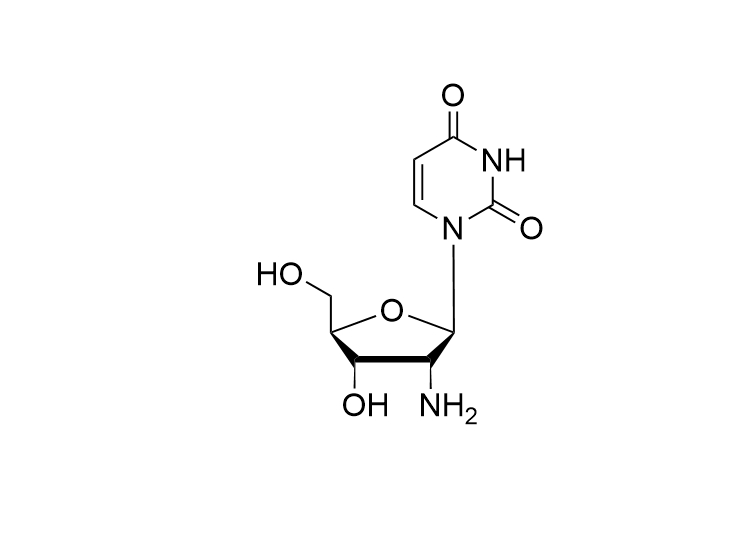 2'-NH2-2'-dU