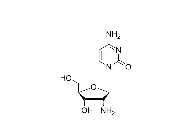 2'-NH2-2'-dC