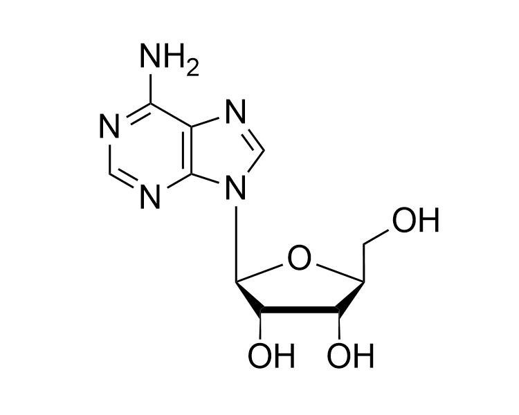 L-rA