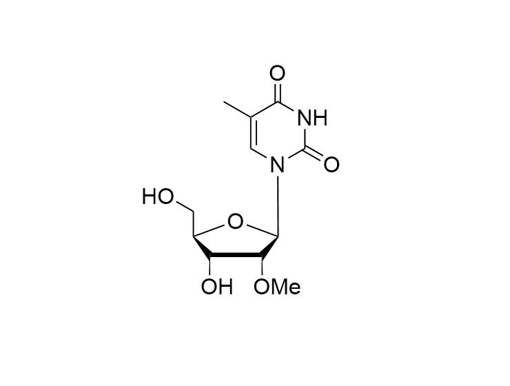 2'-OMe-5-Me-rU