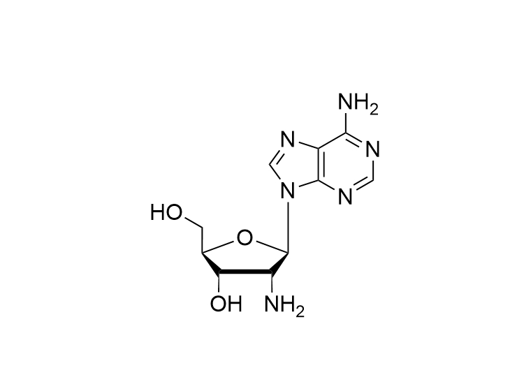 2'-NH2-2'-dG