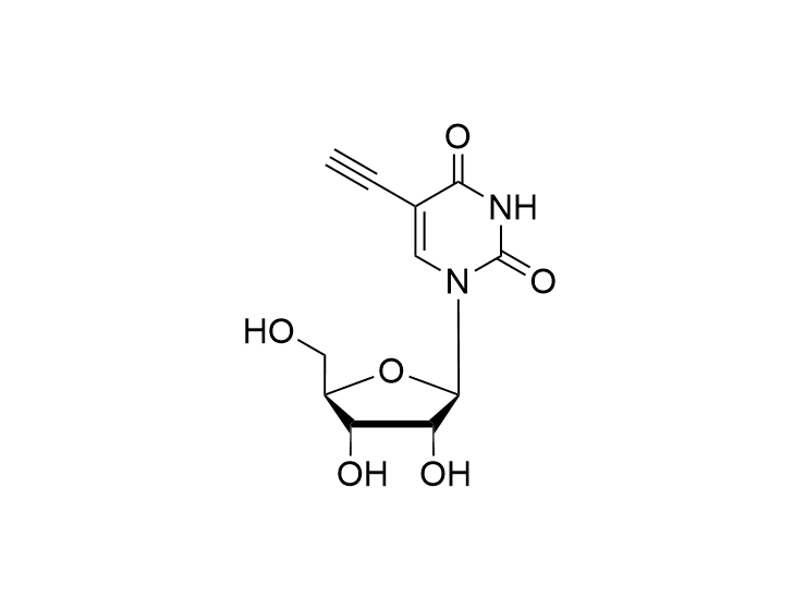 ErU