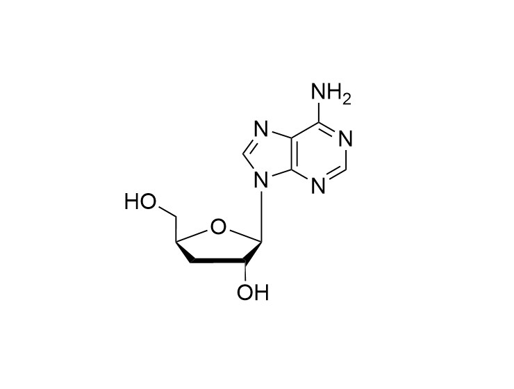 3'-dA