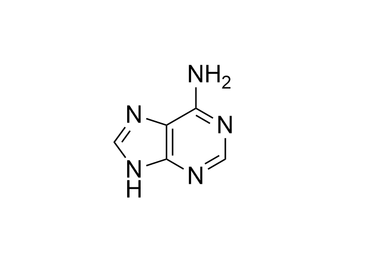 Adenine