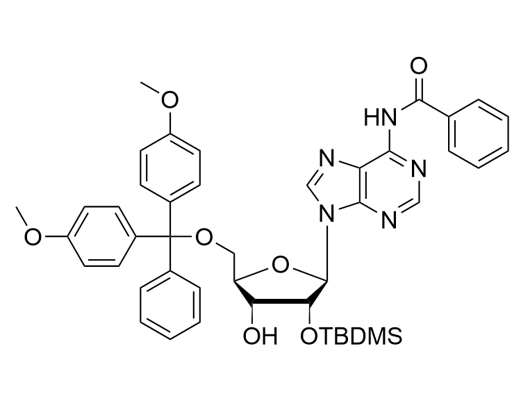 5'-O-DMT-2'-O-TBDMS-N6-Bz-rA