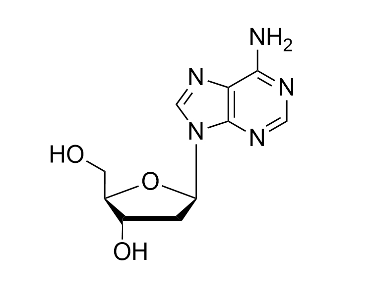 2'-dA