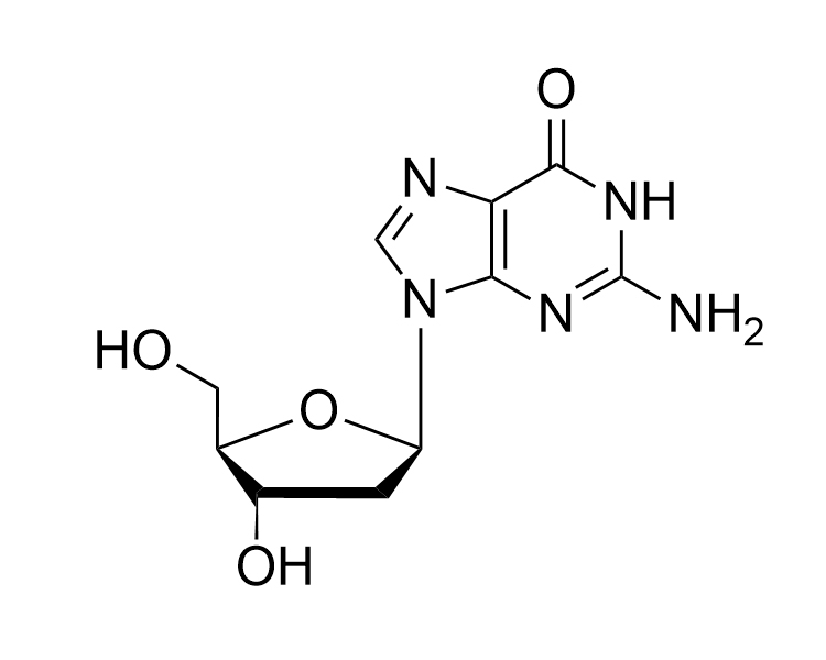 2'-dG