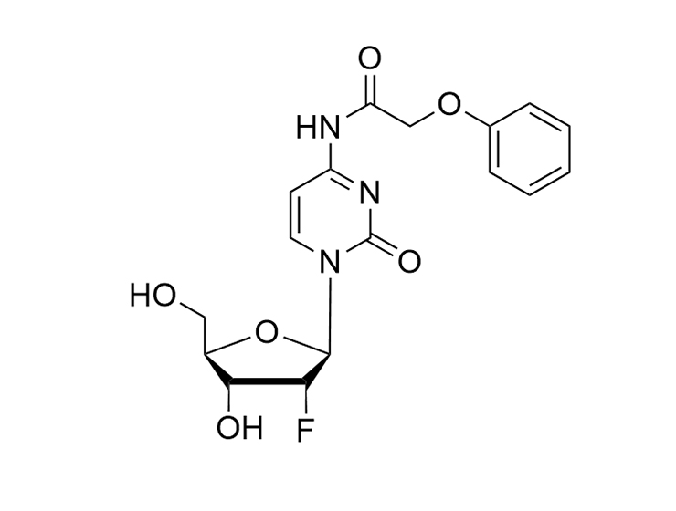 5'-O-DMT-2'-F-N4-PAc-dC