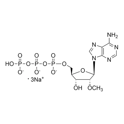 2'-O-Methyl-Adenosine-5'-Triphosphate, Trisodium Salt, 100mM Solution