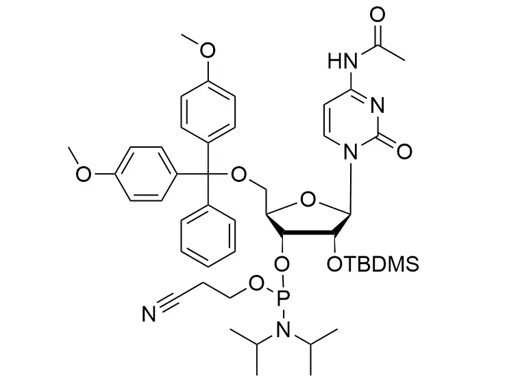 2'-tbdms-c (Ac) 亚磷酰胺CAS NO.121058-88-6