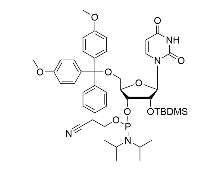 2'-tbdms-u亚磷酰胺CAS NO.118362-03-1