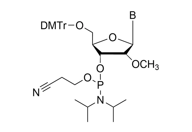 2'-OMe Phosphoramidites