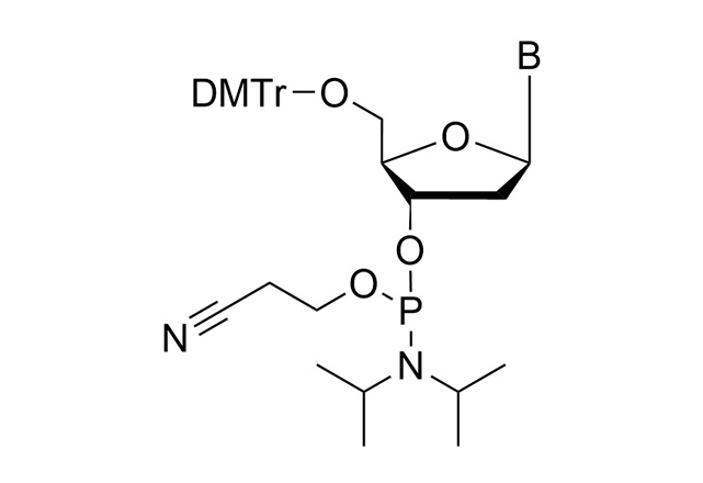 DNA Phosphoramidites