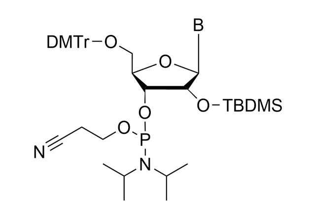 RNA Phosphoramidites