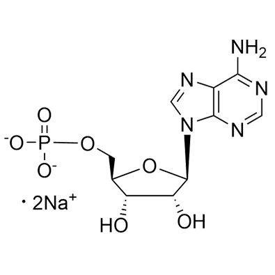 AMP·Free Acid Cas No. 61-19-8