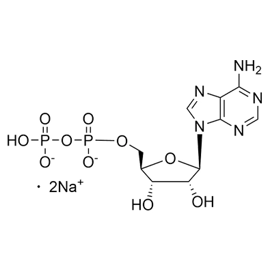 ADP·Free Acid Cas NO. 58-64-0