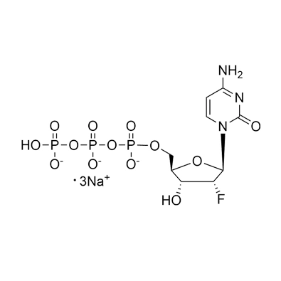2'-Fluoro-2'-Deoxycytidine-5'-Triphosphate, Trisodium Salt, 100mM Solution