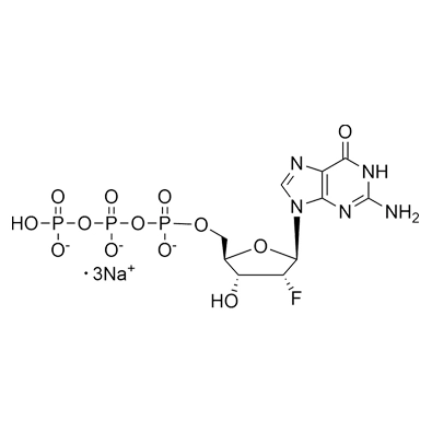 2'-Fluoro-2'-Deoxyguanosine-5'-Triphosphate, Trisodium Salt, 100mM Solution