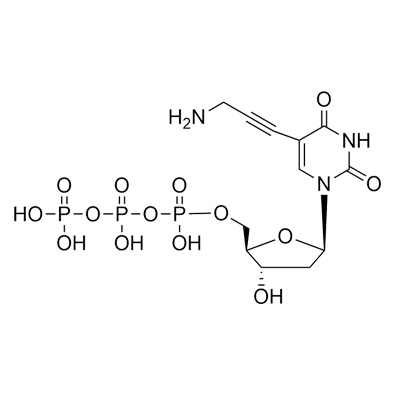 5-(3-Amino-1-Propenyl)-2'-Deoxyuridine 5'-(Tetrahydrogen Triphosphate) Solution