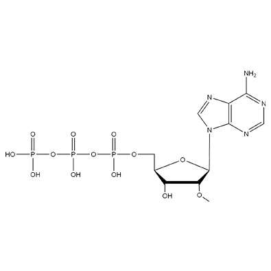 2'-O-Methyl-Adenosine-5'-Triphosphate, 100mM Solution
