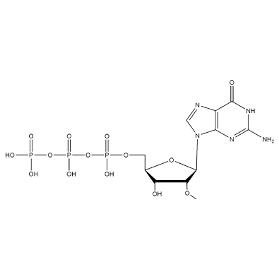 2'-O-Methyl-Guanosine-5'-Triphosphate, 100mM Solution