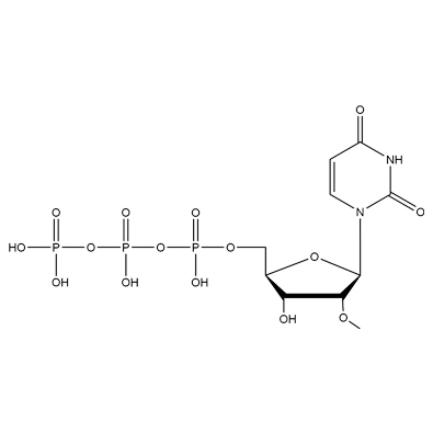2'-O-Methyl-Uridine-5'-Triphosphate, 100mM Solution