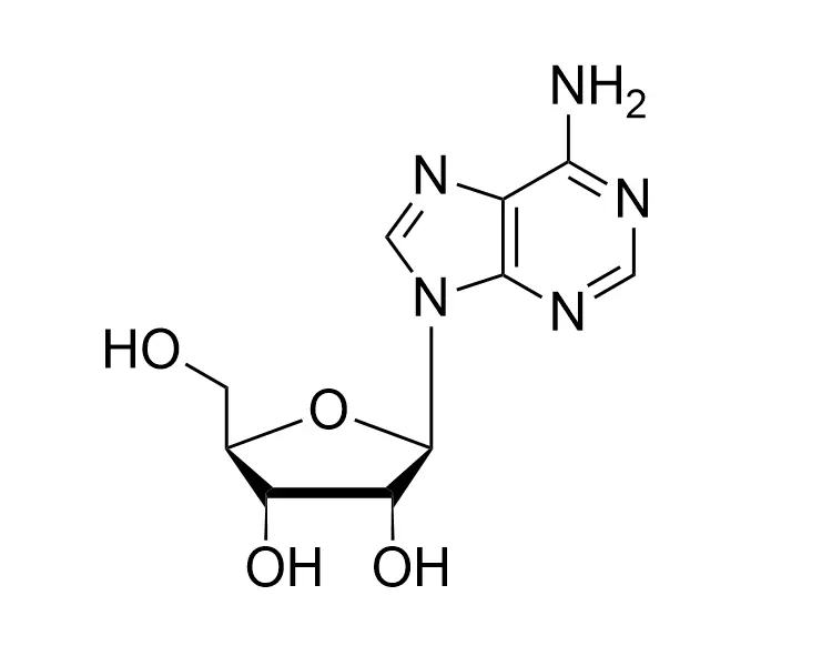 Adenosine CAS No. 58-61-7