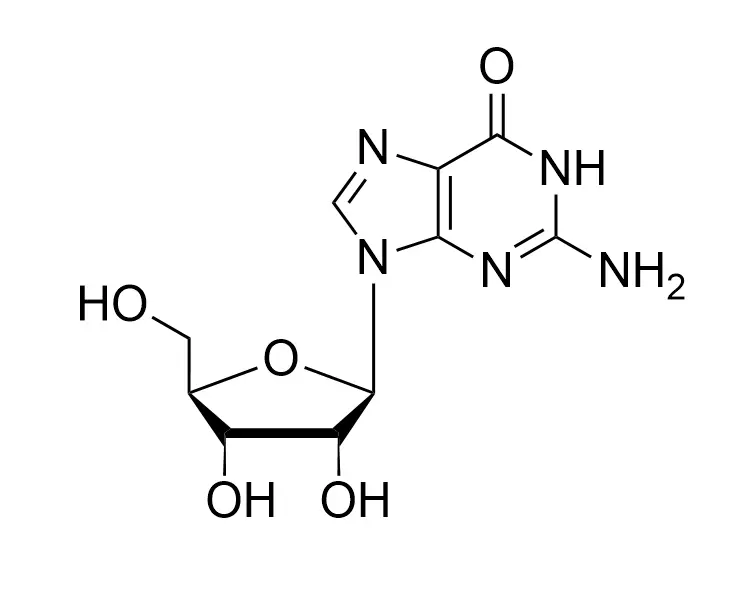 Guanosine CAS No. 118-00-3