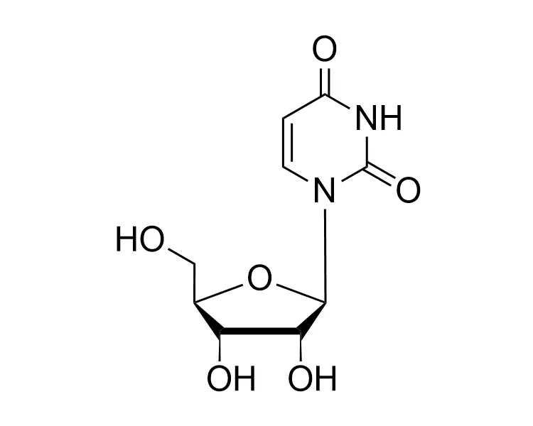 Uridine CAS No. 58-96-8