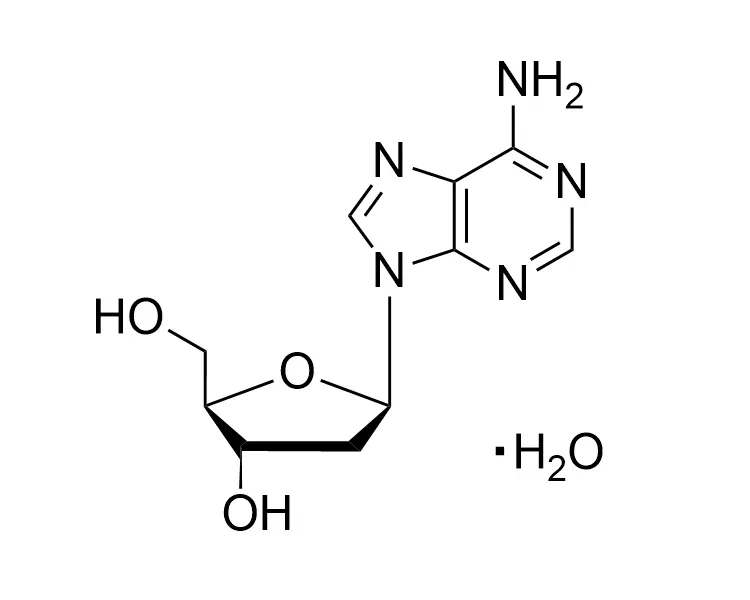 2'-Deoxyadenosine Monohydrate CAS No. 16373-93-6