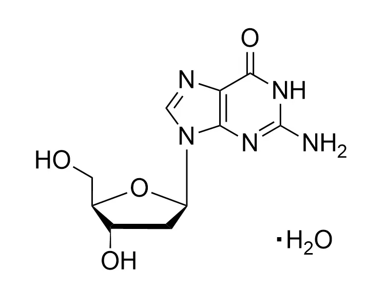 2′-Deoxyguanosine Monohydrate