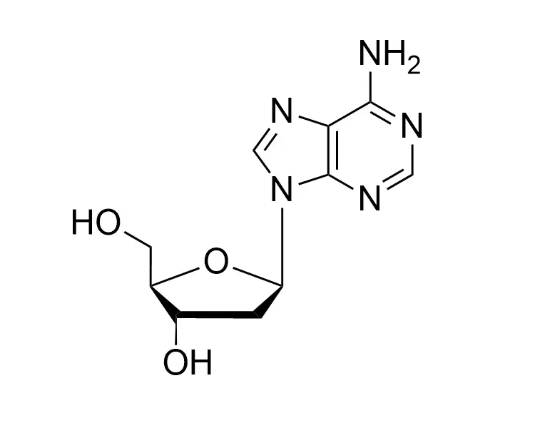 2'-Deoxyadenosine CAS No. 958-09-8