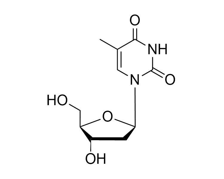 2′-Ddeoxythymine