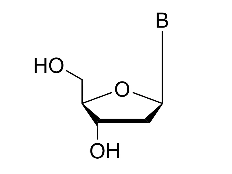 2'-Deoxynucleosides