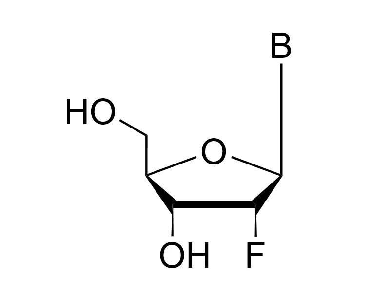 2'-Fluoro Modified Deoxynucleosides