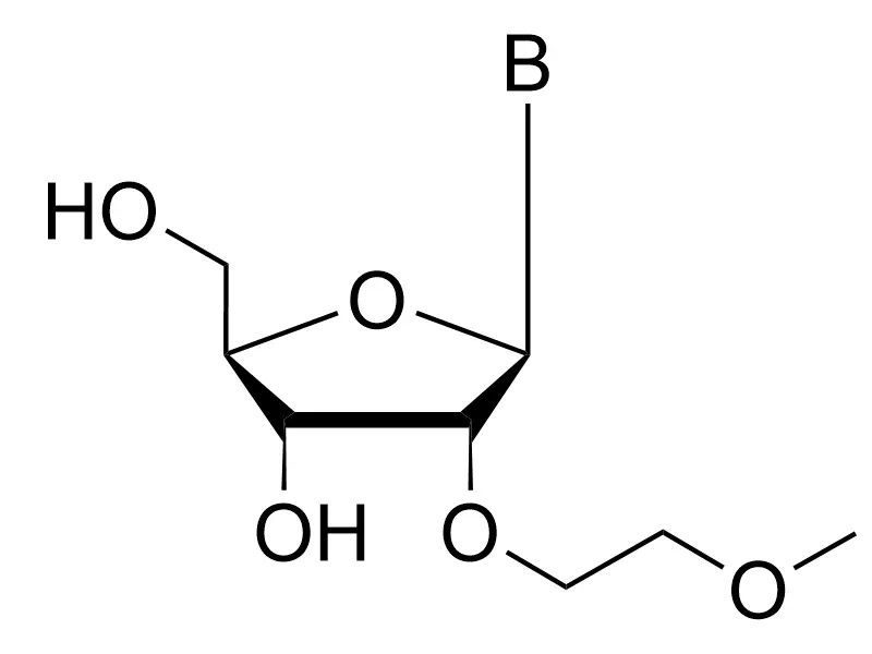 2'-O-MOE Modified Nucleosides