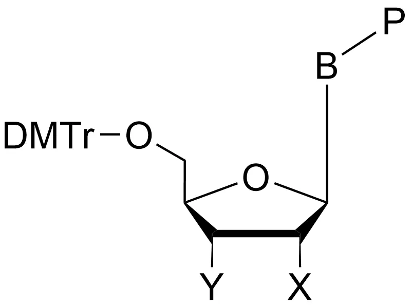5'-O-DMT Protected Nucleosides