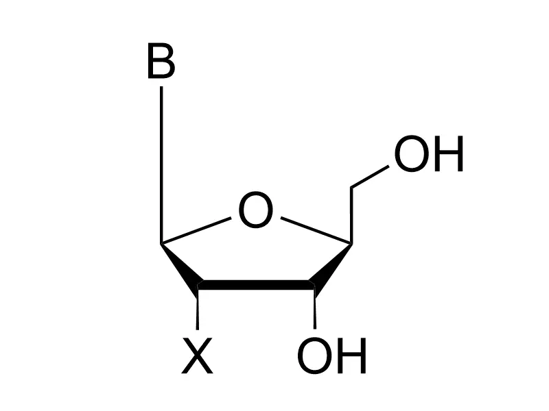 L-Nucleosides