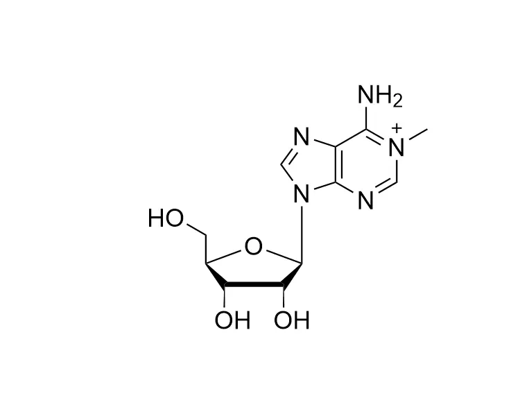 N1-Methyl-rA CAS No. 15763-06-1